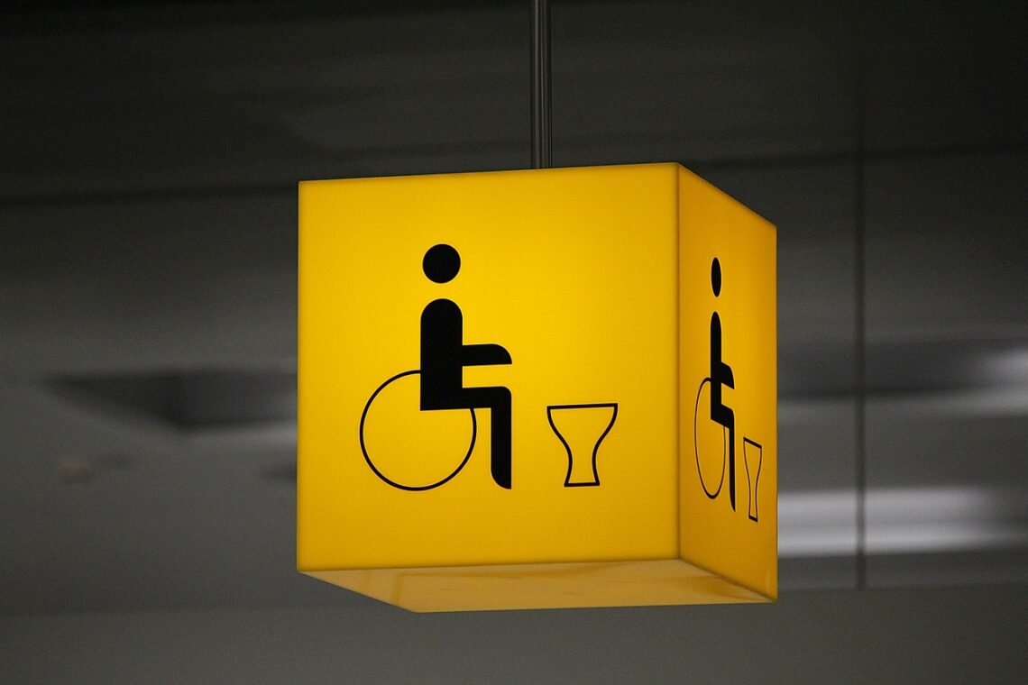 disabled toilet, disability, wheelchair